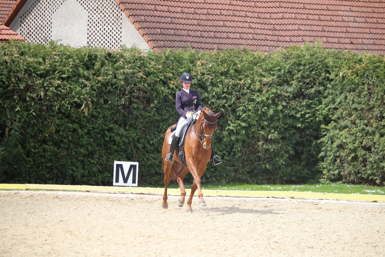 Romina Auhof 2016 060