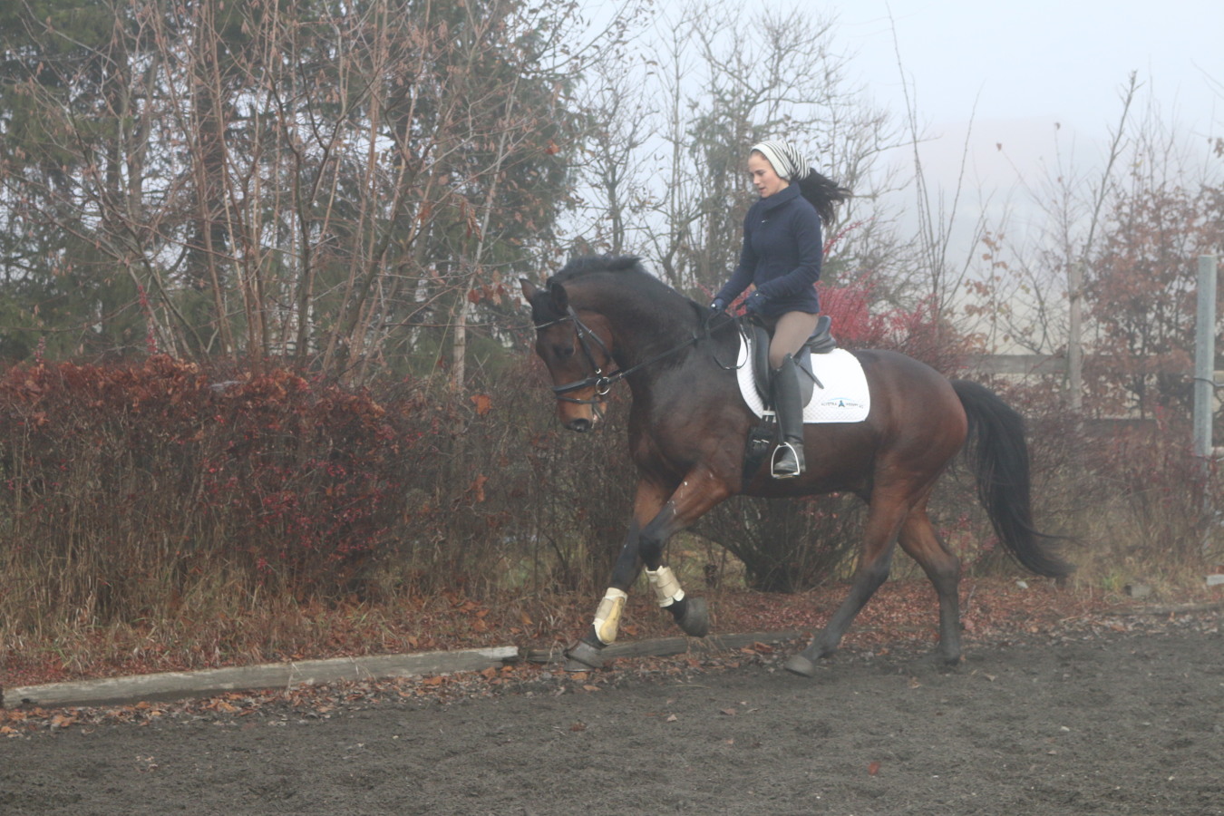 Ruando bei Nebel das 2.Mal im Freien